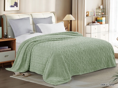 Плед Cleo "Gammi" велсофт полуторный 150*200 (150/008-GAM, Геометрия, Зеленый) Плед Cleo "Gammi" велсофт полуторный 150*200 (150/008-GAM, Геометрия, Зеленый)