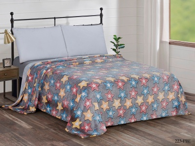 Плед Cleo "Bamboo" 190гр полуторный 150*200 микрофибра 100% в сумке ПВХ (150/223-pbe, Звезды, Мультиколор) Плед Cleo "Bamboo" 190гр полуторный 150*200 микрофибра 100% в сумке ПВХ (150/223-pbe, Звезды, Мультиколор)