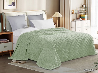 Плед Cleo "Gammi" велсофт полуторный 150*200 (150/004-GAM, Геометрия, Зеленый) Плед Cleo "Gammi" велсофт полуторный 150*200 (150/004-GAM, Геометрия, Зеленый)