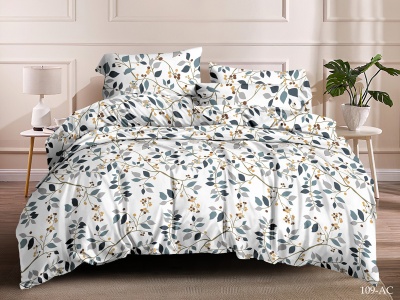 КПБ Cleo полисатин "Art Color" полуторный 145*215*1 150*220*1(±5) 70*70*2(±2) (15/109-AC, Растения, Мультиколор)