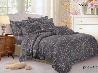 КПБ Cleo полисатин "Art Color" полуторный 145*215*1 150*220*1(±5) 70*70*2(±2) (15/091-AC, Оригинальное, Серый)