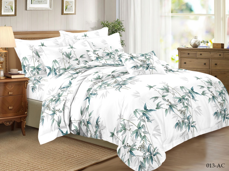 КПБ Cleo полисатин "Art Color" 013-AC