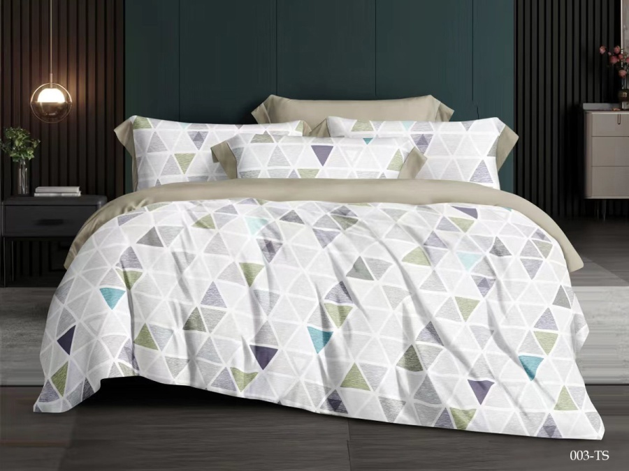 КПБ Cleo тенсель "Soft Tencel" двуспальный 180*210*1 230*240*1(±5) 50*70*2(±8) RU (22/1003-TS, Геометрия, Мультиколор)